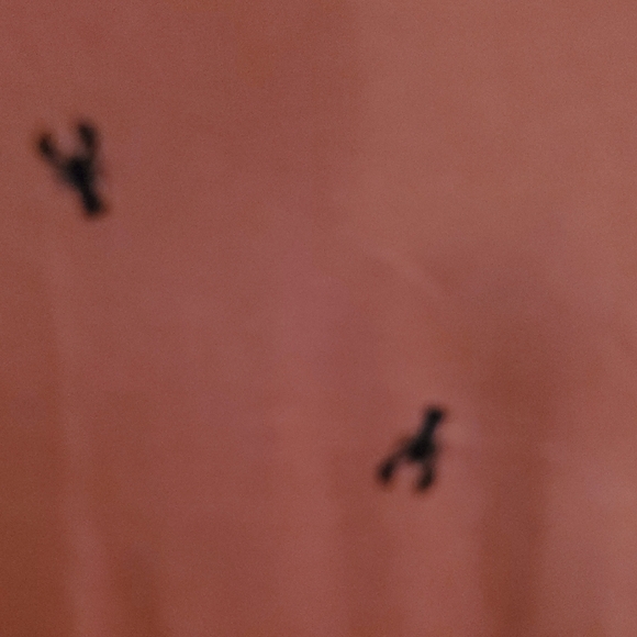 Old Navy Men's Rust Graphic Tee With Lobsters - Picture 3 of 5